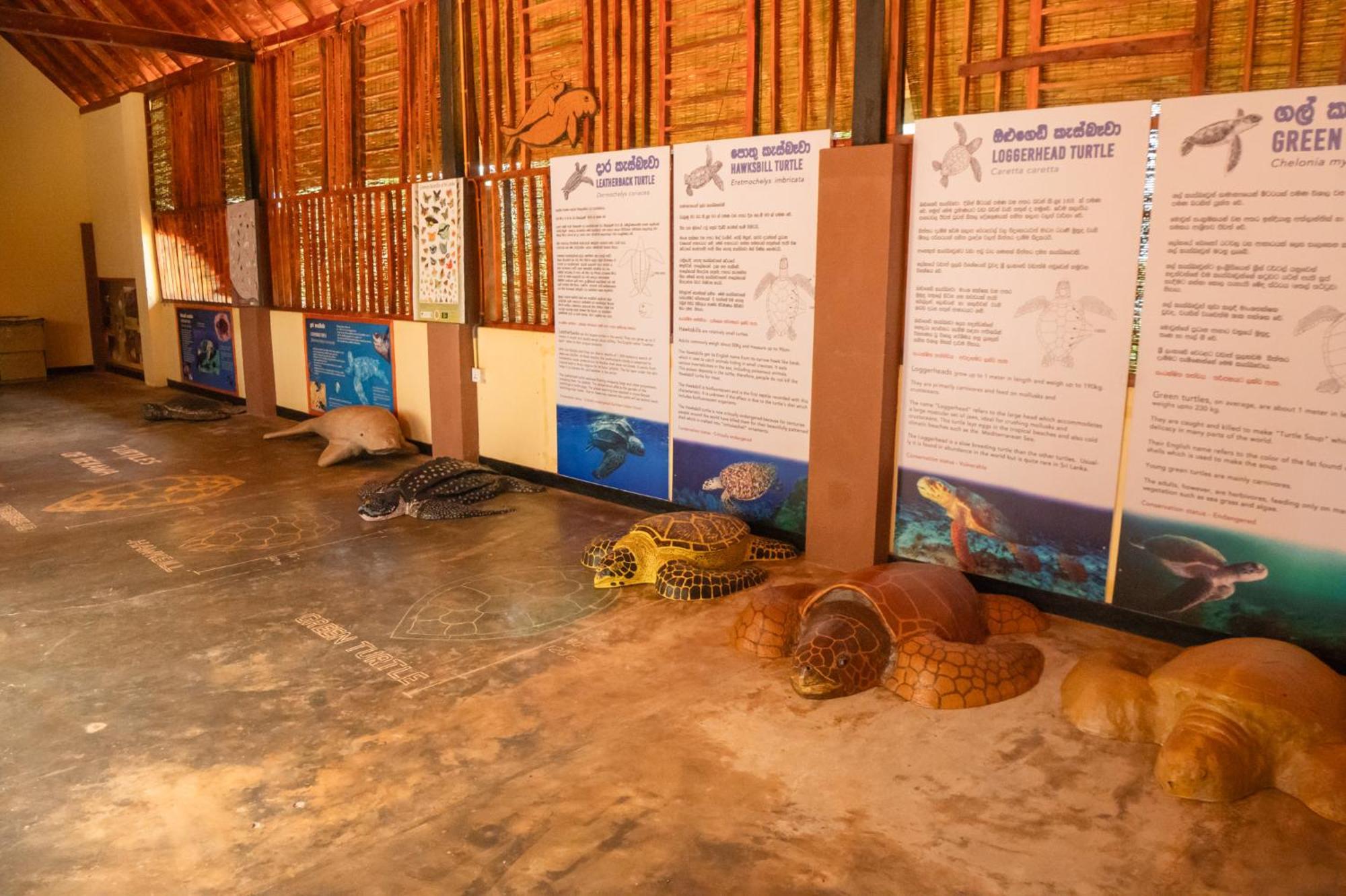 Rekawa Turtle Gate Hotel Tangalle Exterior photo