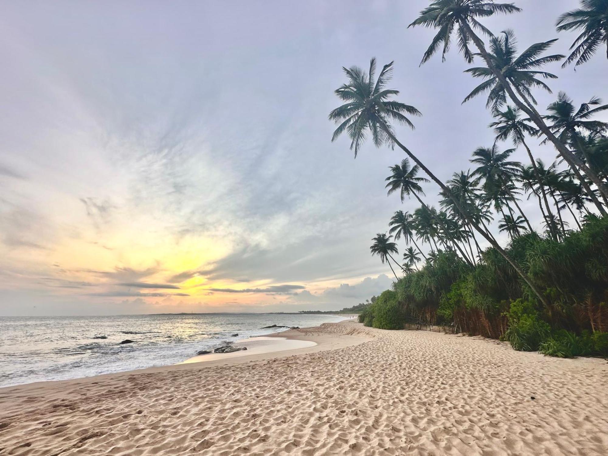 Rekawa Turtle Gate Hotel Tangalle Exterior photo